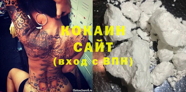 молекула духа Ельня
