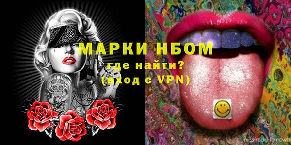 молекула духа Ельня