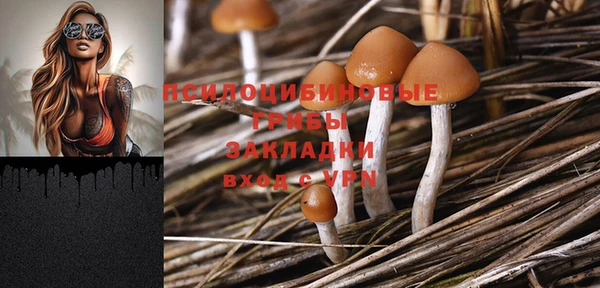 молекула духа Ельня