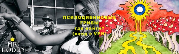 молекула духа Ельня