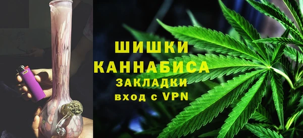 молекула духа Ельня
