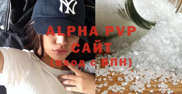 молекула духа Ельня