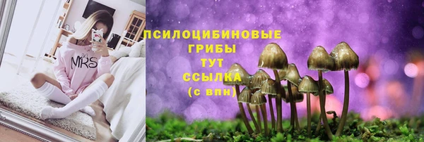 молекула духа Ельня
