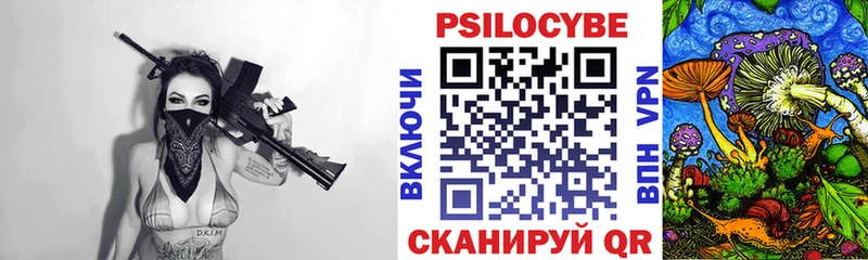 Псилоцибиновые грибы Psilocybe Княгинино