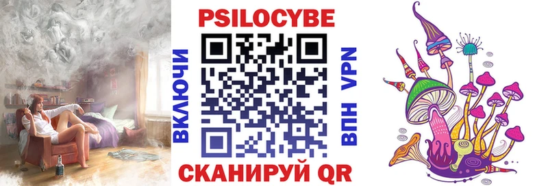 Купить закладки  Княгинино  Псилоцибиновые грибы Psilocybe 